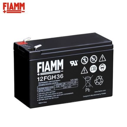 Fiamm FG Battery